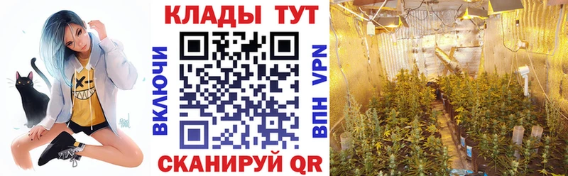 Где продают наркотики Гаврилов Посад Alpha PVP  ГАШ  Каннабис  Героин  КОКАИН 