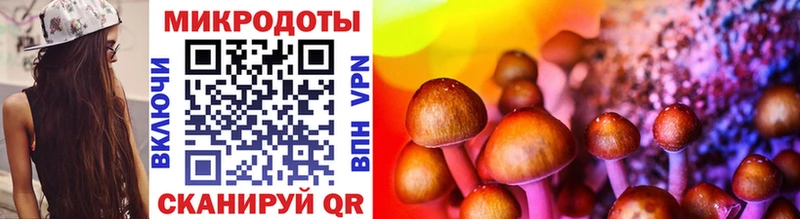 Галлюциногенные грибы Cubensis  наркота  дарк нет Telegram  Гаврилов Посад 